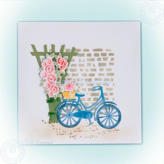 Picture of Lea'bilitie Bicycle & Trellis