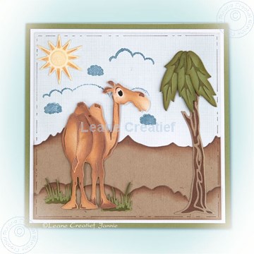 Bild von Camel