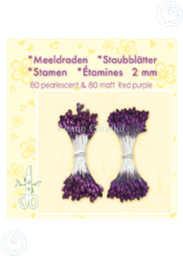 Bild von Staubblätter ± 80 matt & 80 red purple