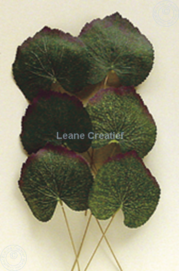 Image sur LeCreaDesign® Paquets de feuilles "bégonia"