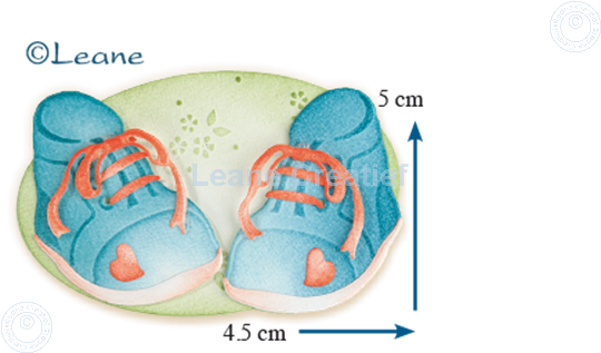 Bild von Lea'bilitie Baby shoes