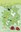 Afbeeldingen van Multi die flower 004 Ponsettia