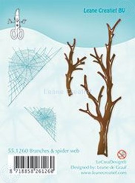Image de Branches & spider web