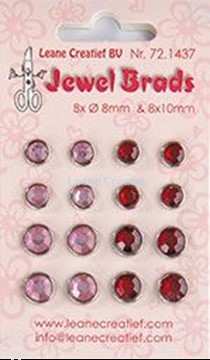 Image de Jewel brads bordeaux / light pink