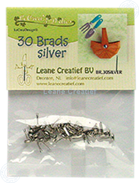 Afbeeldingen van 30 Brads silver 5mm