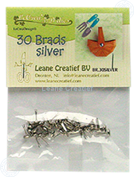 Image de 30 Brads silver 5mm