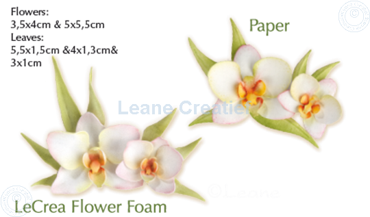 Bild von Lea'bilitie Multi die Flower 012 Orchid