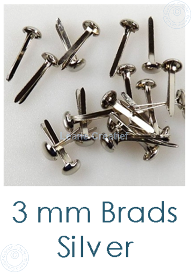 Bild von 40 Brads 3mm Silver