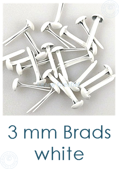 Bild von 40 Brads 3mm Weiss